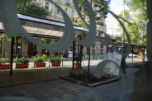 IMGP0142.JPG