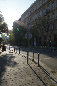 IMGP0144.JPG