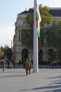 IMGP0161.JPG