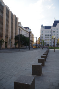 IMGP0163.JPG