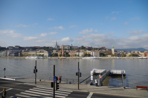 IMGP0165.JPG