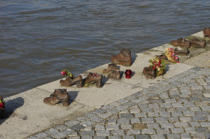 IMGP0172.JPG