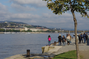 IMGP0174.JPG