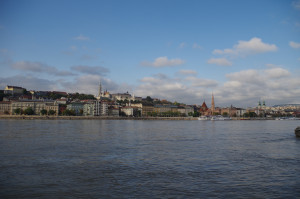 IMGP0175.JPG