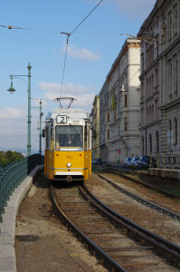 IMGP0176.JPG
