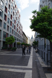 IMGP0181.JPG