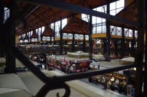 IMGP0199.JPG