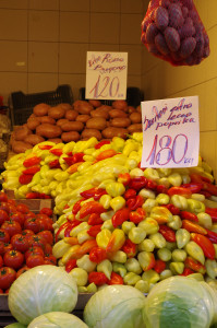 IMGP0203.JPG