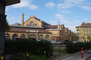 IMGP0208.JPG
