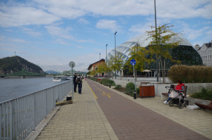 IMGP0209.JPG