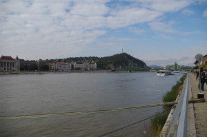 IMGP0211.JPG