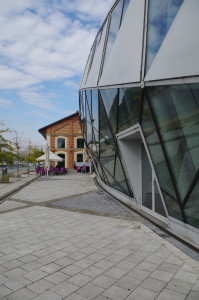 IMGP0212.JPG