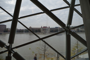 IMGP0222.JPG