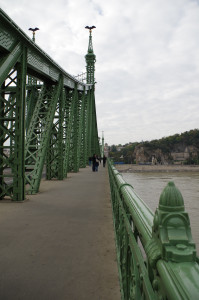 IMGP0227.JPG