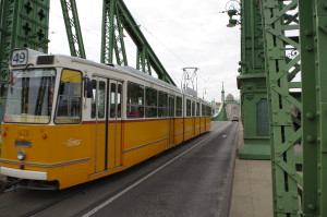 IMGP0229.JPG