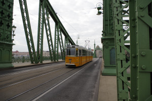 IMGP0230.JPG