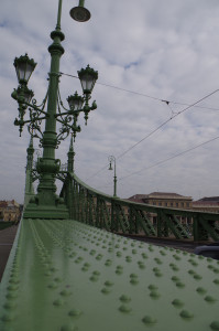 IMGP0231.JPG