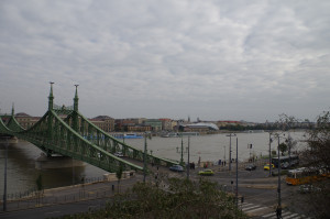 IMGP0233.JPG
