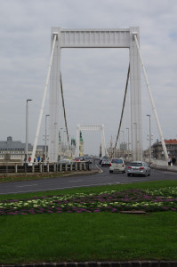 IMGP0236.JPG