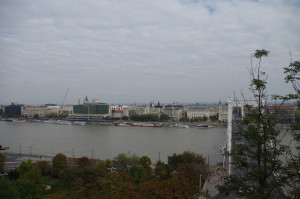 IMGP0237.JPG