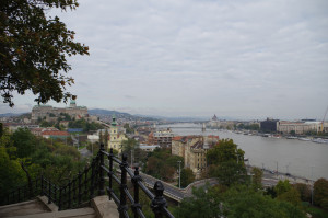 IMGP0238.JPG