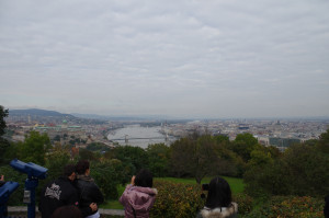 IMGP0240.JPG