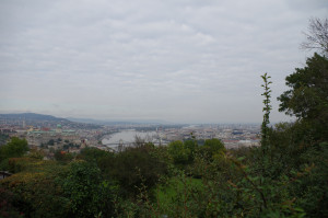 IMGP0241.JPG
