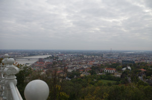 IMGP0245.JPG