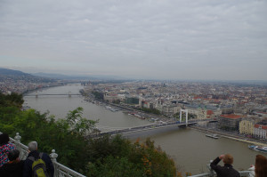 IMGP0247.JPG