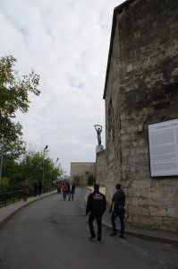 IMGP0248.JPG