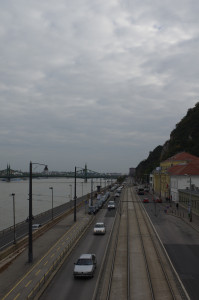 IMGP0250.JPG