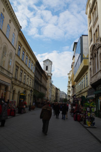 IMGP0252.JPG