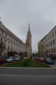 IMGP0370.JPG