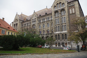 IMGP0371.JPG