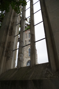 IMGP0374.JPG