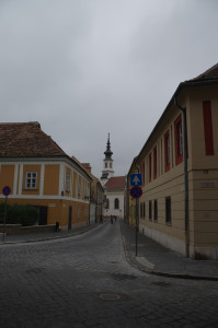 IMGP0375.JPG