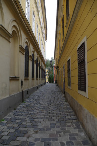 IMGP0376.JPG
