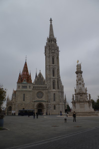 IMGP0377.JPG