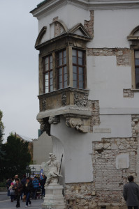 IMGP0379.JPG