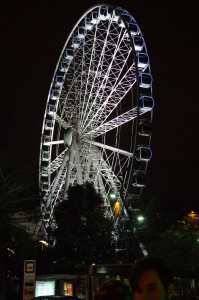 IMGP0402.JPG