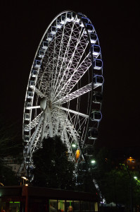 IMGP0403.JPG