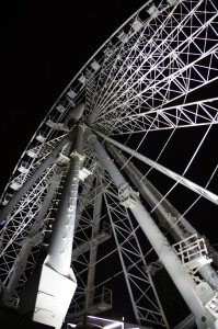IMGP0405.JPG