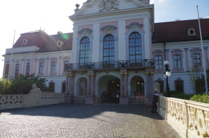 IMGP0439.JPG