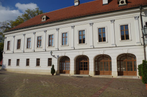 IMGP0440.JPG