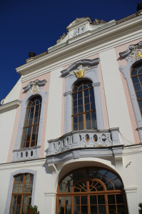 IMGP0444.JPG
