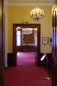IMGP0450.JPG