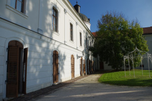 IMGP0454.JPG