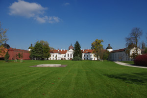 IMGP0456.JPG