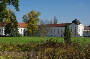 IMGP0465.JPG