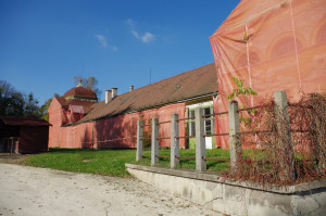 IMGP0466.JPG